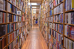 Book Shelves