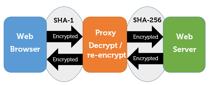 Net Nanny only offers an SHA-1 certificate