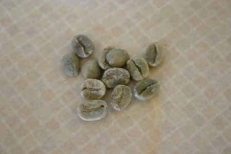 Green Sulotco Sulawesi Coffee Beans