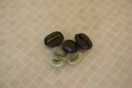 Different bean sizes