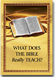 Cover of What does the Bible Really Teach?