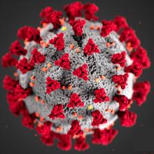 Coronavirus Coronavirus