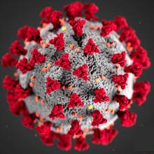 Coronavirus