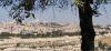 Jerusalem from the Mount of Olives